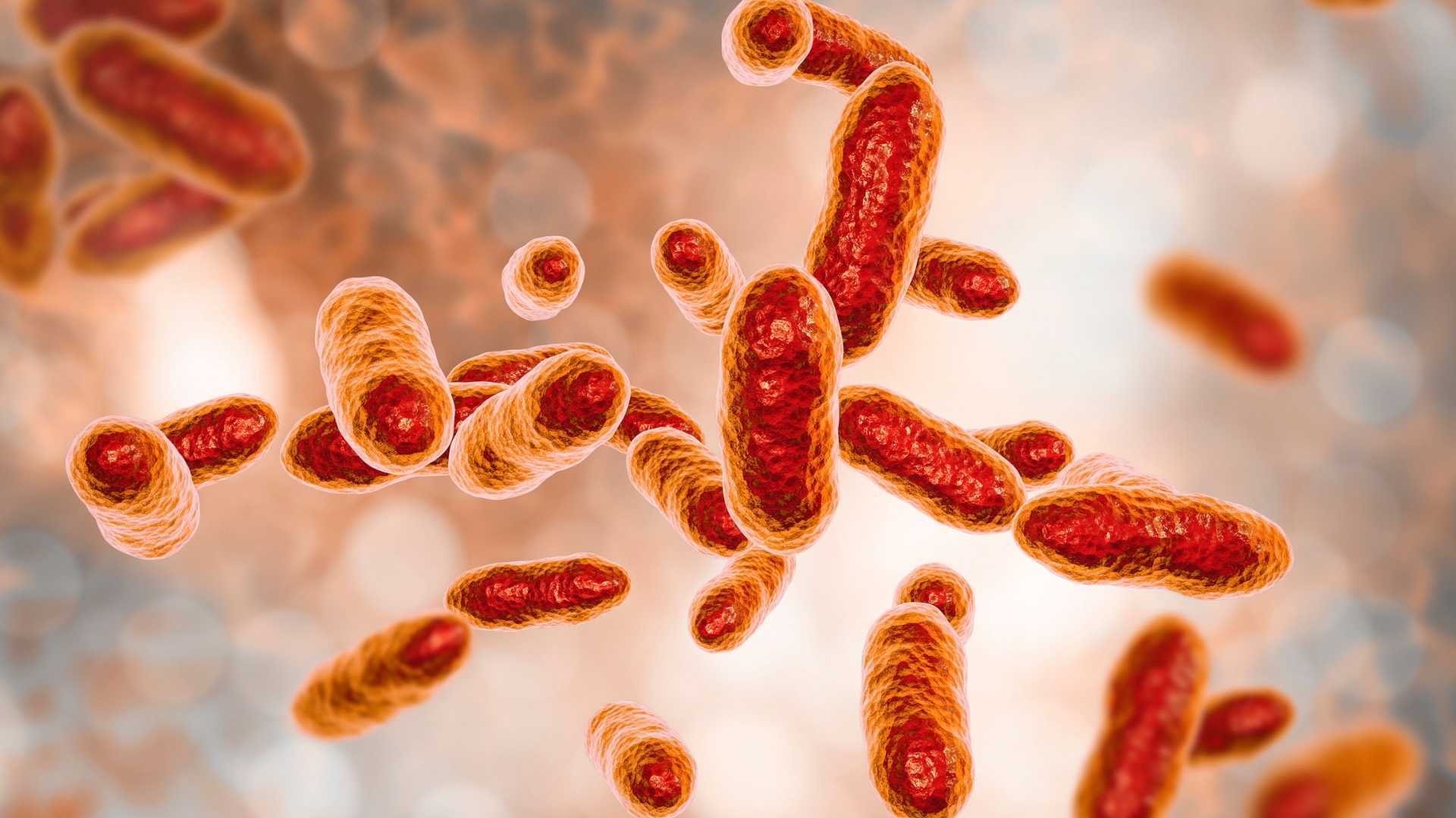 How to Recognize the Signs of Periodontal Disease?